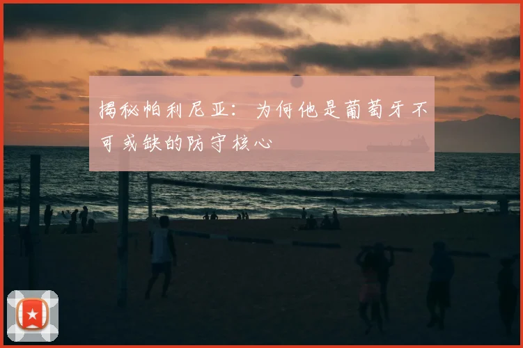 揭秘帕利尼亚:为何他是葡萄牙不可或缺的防守核心