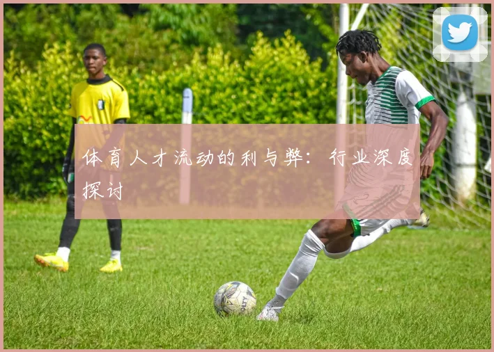 体育人才流动的利与弊:行业深度探讨