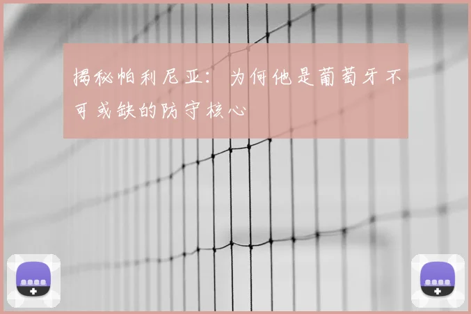 揭秘帕利尼亚:为何他是葡萄牙不可或缺的防守核心